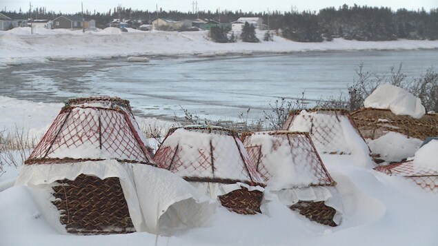 Des cages à crabes sous la neige.