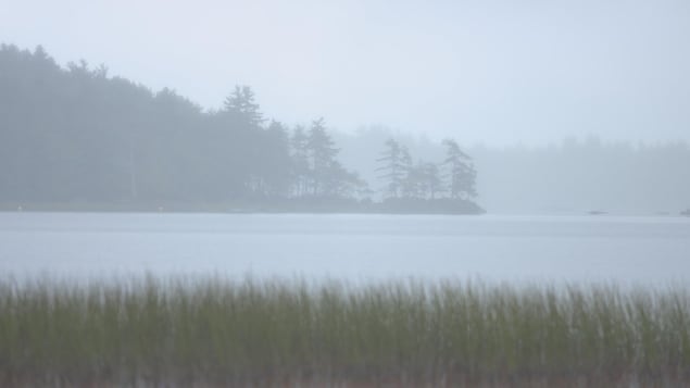 Le paysage est à peine perceptible sous l'épais brouillard. Le paysage est à peine perceptible sous l'épais brouillard.