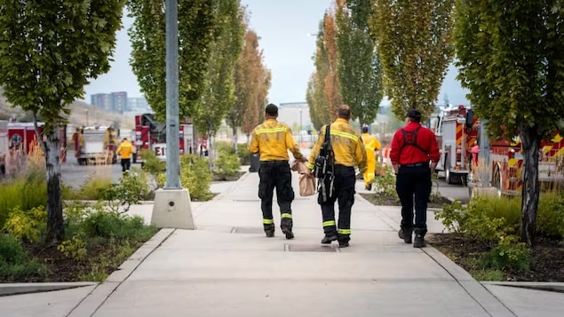 Answering at a moment's notice: How volunteer firefighting works in Canada - Vimarsana News