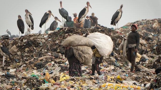 Des oiseaux observent des enfants qui transportent des ballots de vêtements.