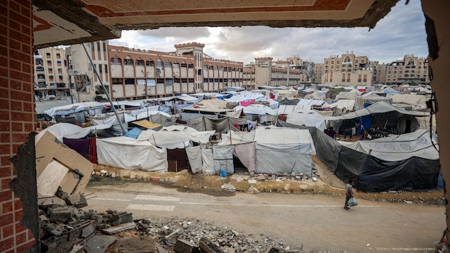 Les négociations indirectes pour mettre fin à la guerre à Gaza ont commencé en Égypte image