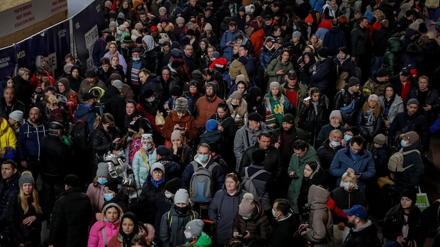 Accueil de réfugiés ukrainiens : les municipalités québécoises se mobilisent