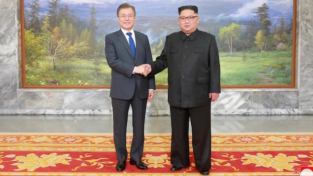 Les présidents de la Corée du Sud et de la Corée du Nord se serrent la main devant une immense peinture qui dépeint une forêt. Les présidents de la Corée du Sud et de la Corée du Nord se serrent la main devant une immense peinture qui dépeint une forêt.