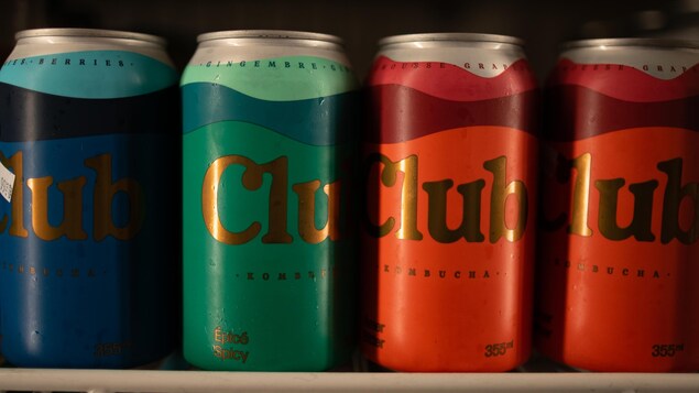 Des canettes de Kombucha. Des canettes de Kombucha.