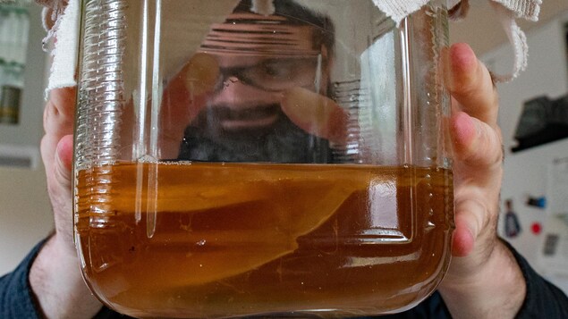 Un homme barbu portant des lunettes tient un pot rempli de kombucha. Un homme barbu portant des lunettes tient un pot rempli de kombucha.