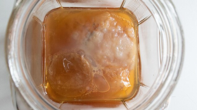 Une mixture de kombucha en pleine fermentation. Une mixture de kombucha en pleine fermentation.
