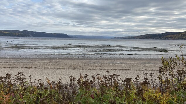Une vue sur le Fjord du Saguenay.