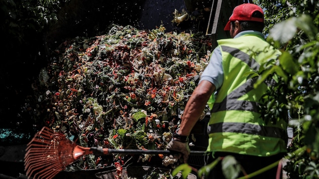 La comunidad más pobre de Santiago, un ejemplo de compostaje en Chile y más allá