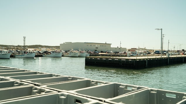 Une usine de transformation de fruits de mer de LA Renaissance des Îles au quai de Grande-Entrée, aux Îles-de-la-Madeleine.