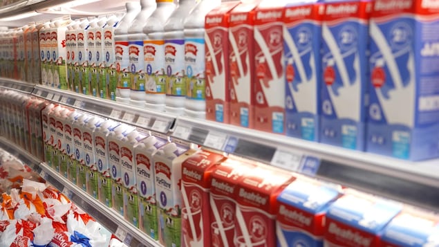 Produits laitiers américains : une percée chez les détaillants canadiens se dessine