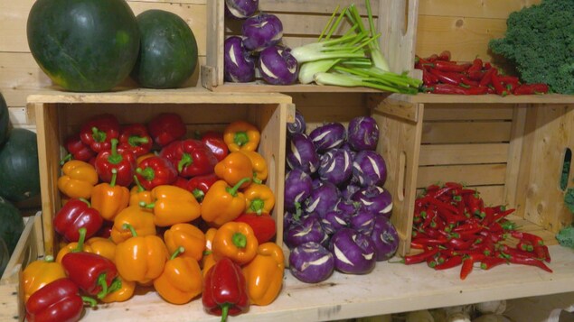 Légumes colorés dans un kiosque de vente à la ferme.