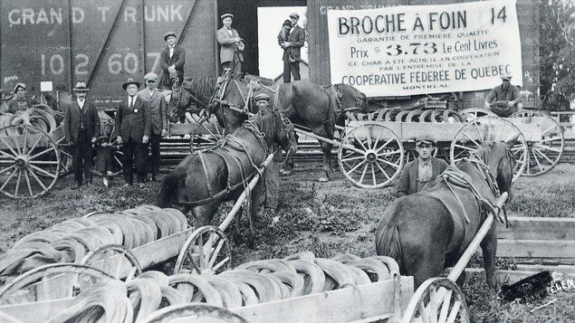 Image ancienne de chariot de vente de broche à foin par la Coopérative fédérée
