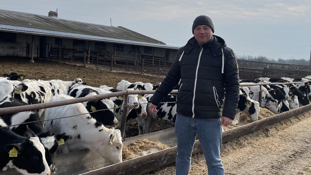 Andrij Pastushenko à l'extérieur de l'étable avec des vaches laitières.