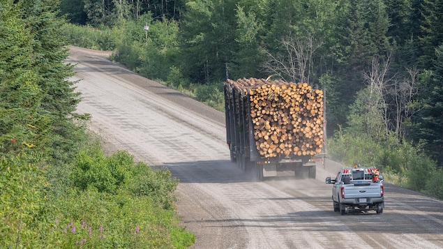 Le Syndicat des producteurs de bois de la Gaspésie présente une offre aux transporteurs