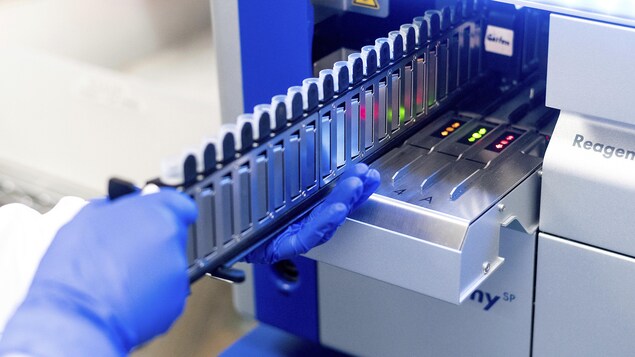 Cinq nouveaux cas de COVID-19 sur la Côte-Nord