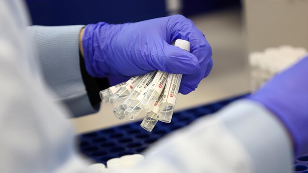 La N.-É. rapporte une moyenne quotidienne de 223 nouveaux cas de COVID-19