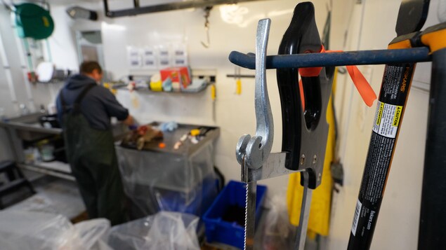 En 2022, le Manitoba a reçu 5 fois plus d’échantillons de cerfs abattus par des chasseurs