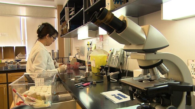 Technologiste au travail au laboratoire de l'hôpital d'Amqui. Technologiste au travail au laboratoire de l'hôpital d'Amqui.