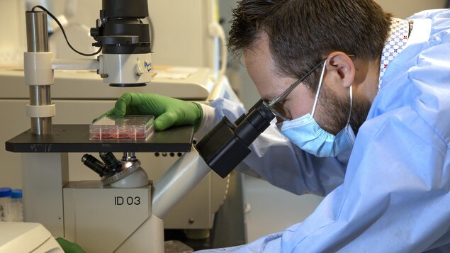 Un chercheur dans un laboratoire