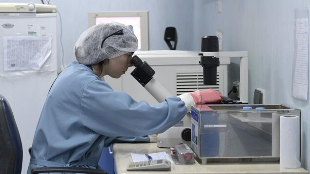 Une chercheure qui consacre son travail à l'étude du VIH regarde dans un microscope.