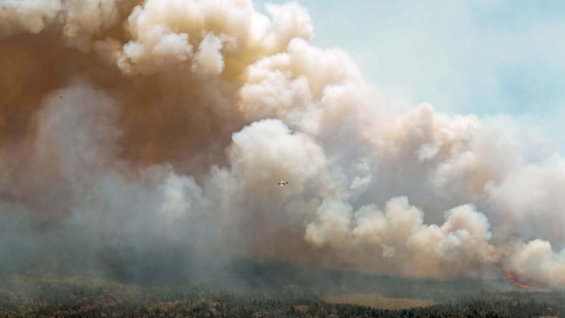 Un avion disperse un mélange d'eau et de produit ignifuge au-dessus de l'incendie près du lac Barrington, en Nouvelle-Écosse.