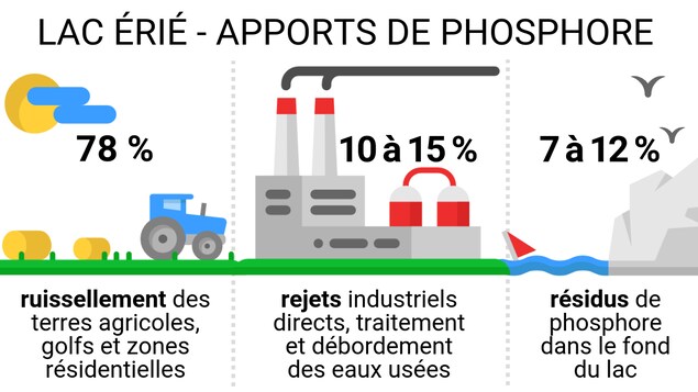 75 % : ruissellement des terres agricoles, golfs et zones résidentielles - 10 à 15 % : rejets industriels directs, traitement et débordement des eaux usées - 7 à 12 % : résidus de phosphore dans le fond du lac 75 % : ruissellement des terres agricoles, golfs et zones résidentielles - 10 à 15 % : rejets industriels directs, traitement et débordement des eaux usées - 7 à 12 % : résidus de phosphore dans le fond du lac