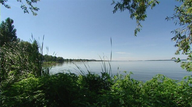Vue des rives du lac Simcoe.