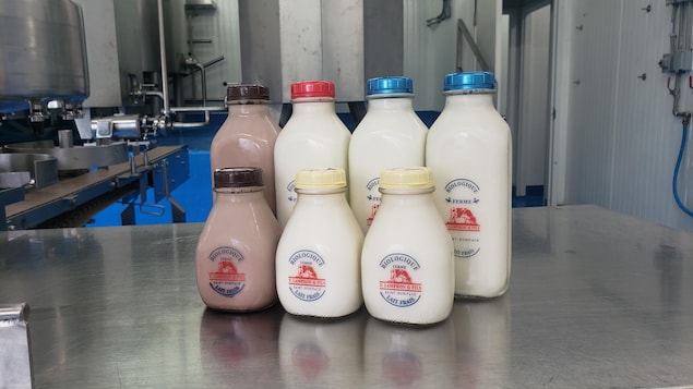 Des bouteilles de lait de l'entreprise laitière Lampron.