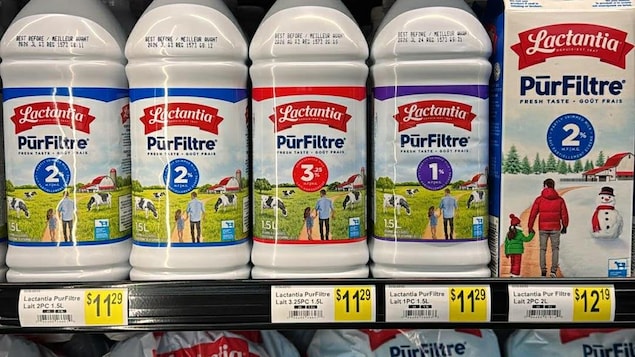 Scammers are targeting Canadians with a milk settlement that doesn&rsquo;t exist