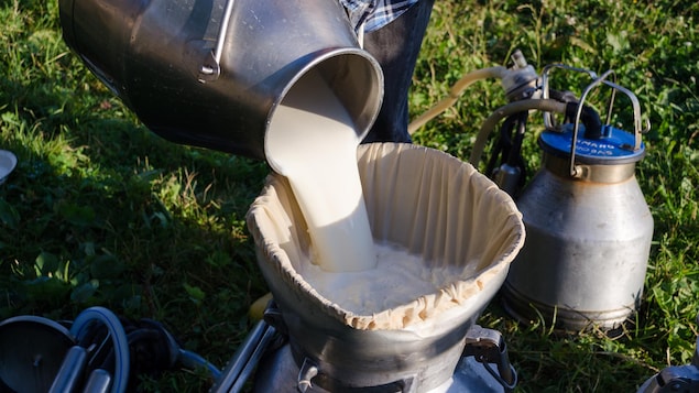 Un fermier verse du lait pour le filtrer dans un bidon Un fermier verse du lait pour le filtrer dans un bidon