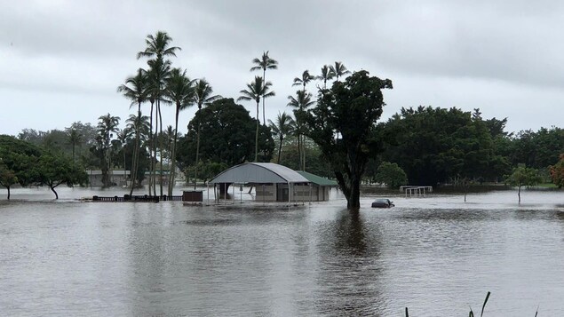 Un paysage tropical inondé. On voit des palmiers, un bâtiments et une voiture dans l'eau.
