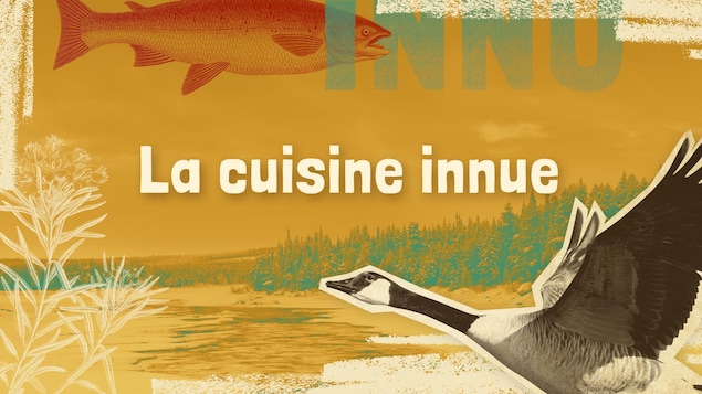 Lexique innu-français des mots et expressions liés à la cuisine innue.