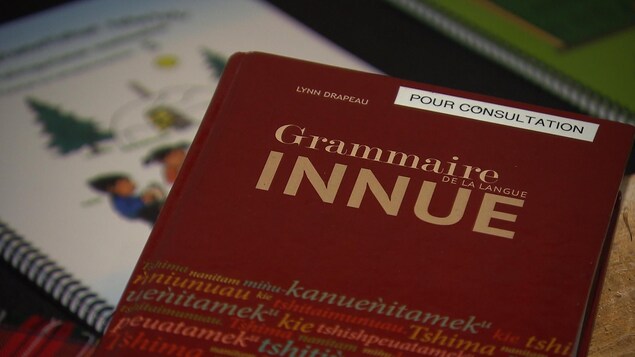 La couverture du livre est rouge.