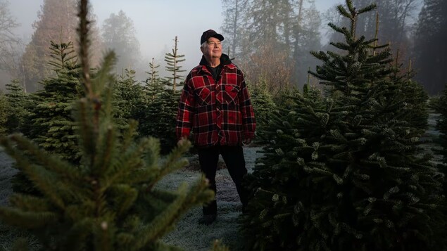 Larry Whitehead, debout, dans sa pépinière de sapins de Noël.