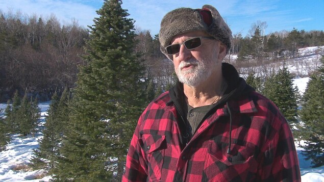Laurie Allain entouré de sapins.