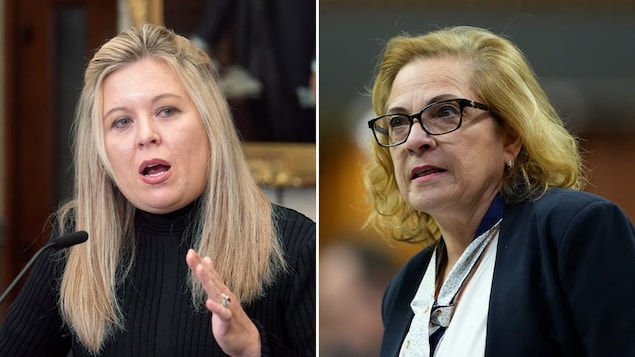 Conservative MP Michelle Rempel Garner, left, and Immigration Minister Lena Diab got into a heated exchange on Thursday at a committee meeting. 