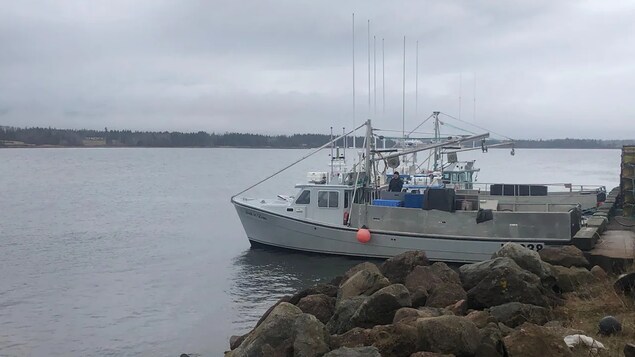 Homard : Lennox Island veut lancer sa propre pêche de subsistance convenable