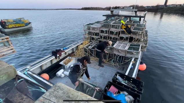 Homard : Lennox Island lance sa première pêche de subsistance