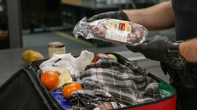 Un douanier tient dans ses mains des saucissons qu'il a sortis d'une valise.