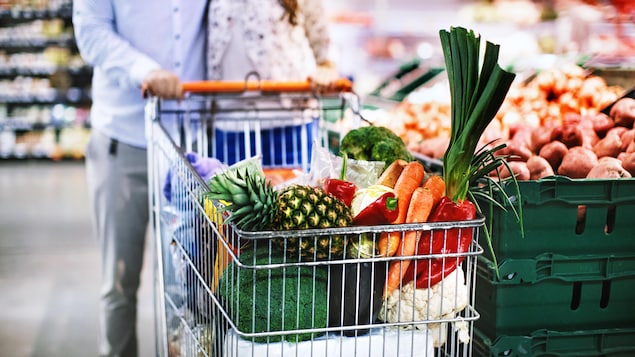 While overall inflation has started to cool, the latest data from Statistics Canada shows food prices are still trending upwards at a high rate. 
