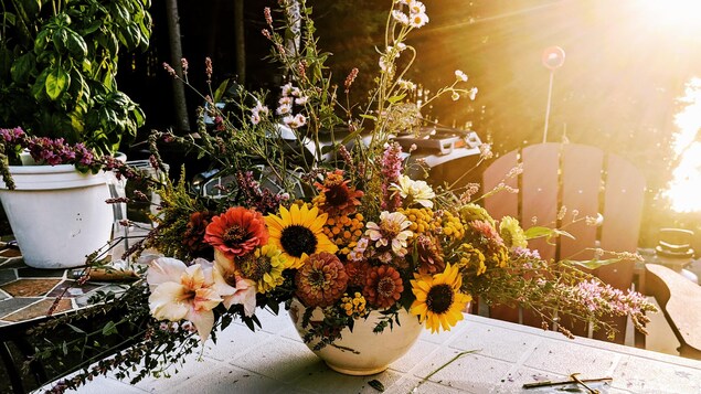 Des fleurs fraîches cultivées et préparées par Catherine Brassard, de la ferme florale Les Effleurés, Rimouski. Les fleurs sont déposées dans un pot sur une table et le soleil les éclaire par derrière.