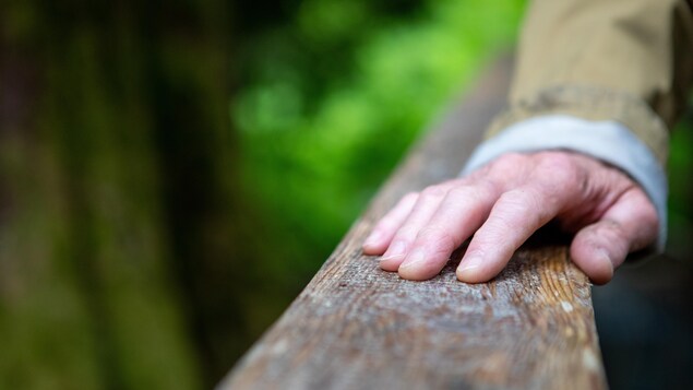 La main d'une personne posée sur une barrière en bois dans le parc provincial Chun T'oh Whudujut, en Colombie-Britannique, en juin 2022.