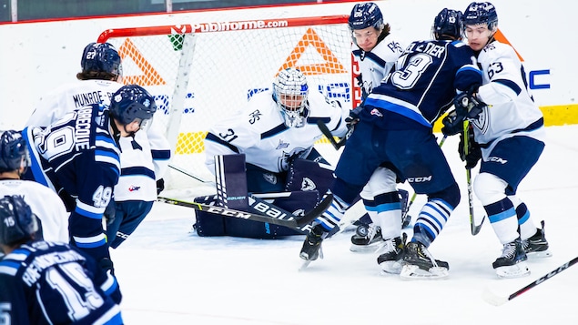 Le calendrier compressé de la LHJMQ met le Phoenix sous haute pression