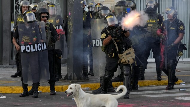 Un chien blanc est pris en photo devant plusieurs policiers, l'un d'eux projette du gaz lacrymogène.