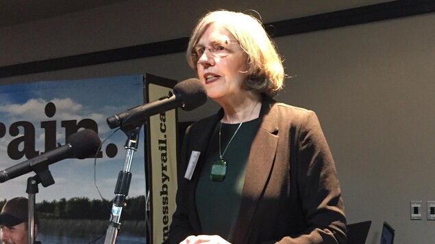 Linda Savory-Gordon est porte-parole de la Coalition pour les trains de passagers Algoma. Linda Savory-Gordon est porte-parole de la Coalition pour les trains de passagers Algoma.