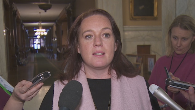 La députée progressiste-conservatrice Lisa MacLeod. La députée progressiste-conservatrice Lisa MacLeod.