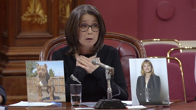 Plan moyen de Lise Vadnais, avec devant elle la photo d'un chien et la photo de sa défunte sœur. Plan moyen de Lise Vadnais, avec devant elle la photo d'un chien et la photo de sa défunte sœur.