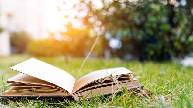 Lecture d'été