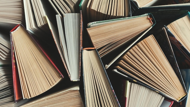 Quelques livres reposent les uns contre les autres.