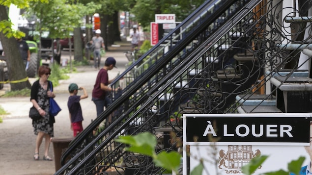 Les partis dénoncent le far west du marché locatif à Montréal, mais que feraient-ils?